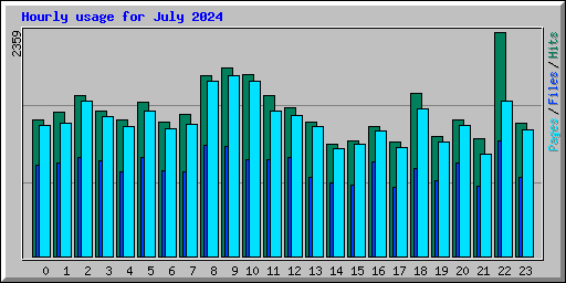 Hourly usage for July 2024