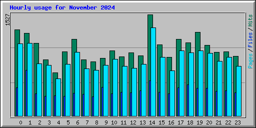 Hourly usage for November 2024