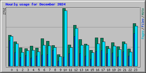 Hourly usage for December 2024