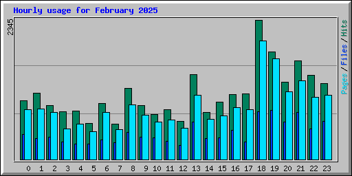 Hourly usage for February 2025