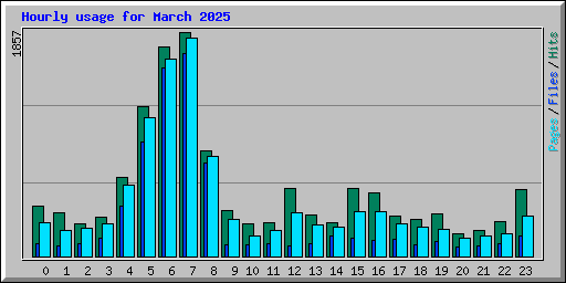 Hourly usage for March 2025